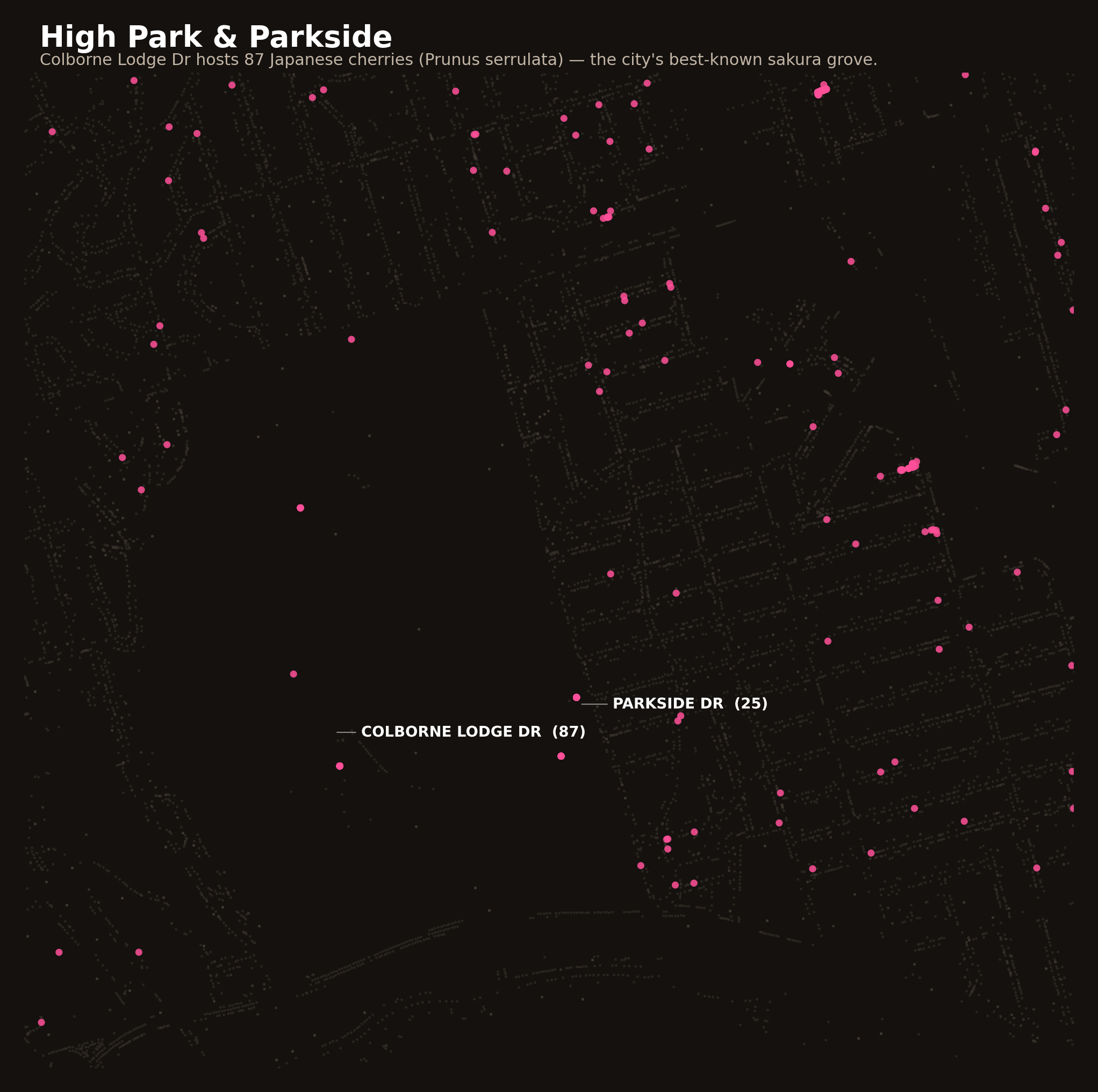 Zoomed-in map of the High Park area showing scattered cherry trees along Colborne Lodge Dr (87 trees) and Parkside Dr (25 trees).