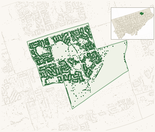 Map of Agincourt North showing the neighbourhood outlined in green with every city-owned street tree as a dark-green dot, plus a locator inset showing its position in Toronto.