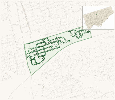 Map of Avondale showing the neighbourhood outlined in green with every city-owned street tree as a dark-green dot, plus a locator inset showing its position in Toronto.