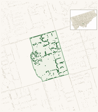 Map of Bay-Cloverhill showing the neighbourhood outlined in green with every city-owned street tree as a dark-green dot, plus a locator inset showing its position in Toronto.