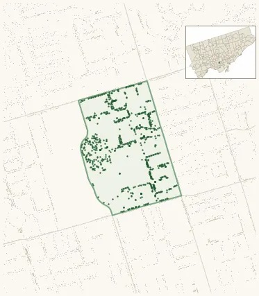 Map of Bay-Cloverhill showing the neighbourhood outlined in green with every city-owned street tree as a dark-green dot, plus a locator inset showing its position in Toronto.