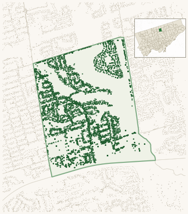 Map of Bayview Village showing the neighbourhood outlined in green with every city-owned street tree as a dark-green dot, plus a locator inset showing its position in Toronto.