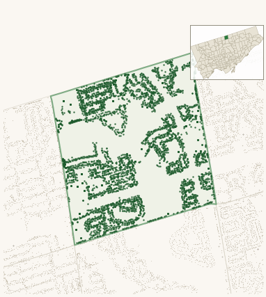 Map of Bayview Woods-Steeles showing the neighbourhood outlined in green with every city-owned street tree as a dark-green dot, plus a locator inset showing its position in Toronto.