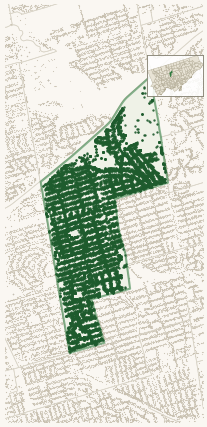 Map of Bedford Park-Nortown showing the neighbourhood outlined in green with every city-owned street tree as a dark-green dot, plus a locator inset showing its position in Toronto.