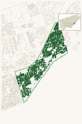 Map of Birchcliffe-Cliffside showing the neighbourhood outlined in green with every city-owned street tree as a dark-green dot, plus a locator inset showing its position in Toronto.