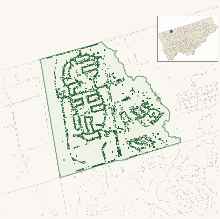 Map of Black Creek showing the neighbourhood outlined in green with every city-owned street tree as a dark-green dot, plus a locator inset showing its position in Toronto.