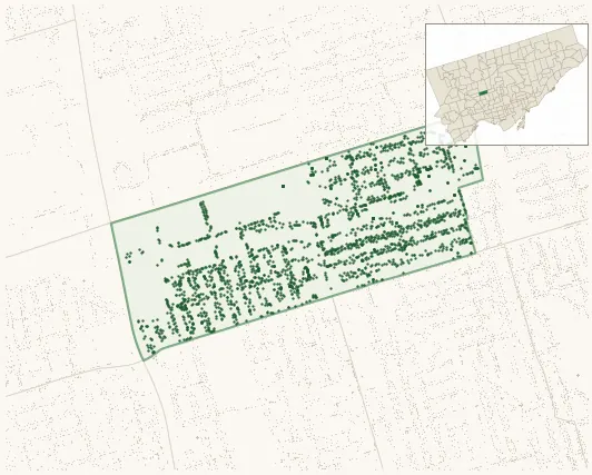 Map of Briar Hill-Belgravia showing the neighbourhood outlined in green with every city-owned street tree as a dark-green dot, plus a locator inset showing its position in Toronto.
