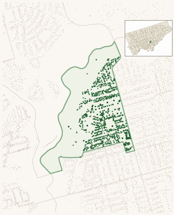 Map of Broadview North showing the neighbourhood outlined in green with every city-owned street tree as a dark-green dot, plus a locator inset showing its position in Toronto.