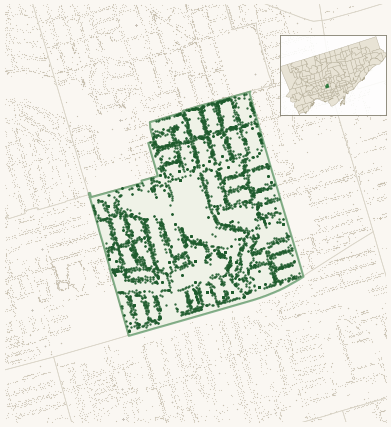 Map of Casa Loma showing the neighbourhood outlined in green with every city-owned street tree as a dark-green dot, plus a locator inset showing its position in Toronto.