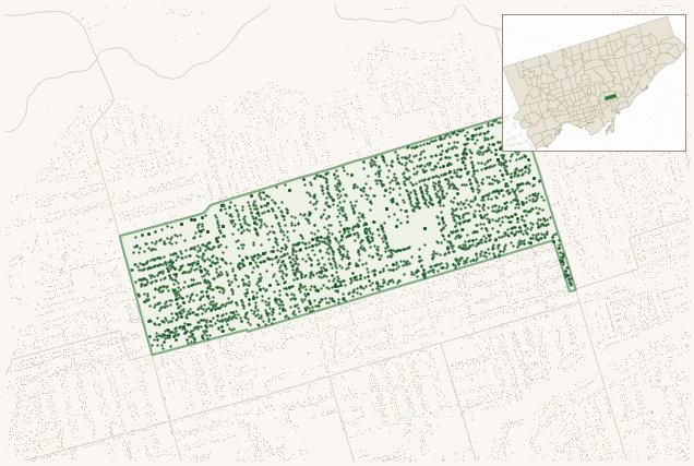 Map of Danforth East York showing the neighbourhood outlined in green with every city-owned street tree as a dark-green dot, plus a locator inset showing its position in Toronto.
