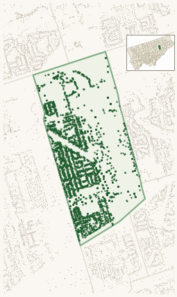 Map of Dorset Park showing the neighbourhood outlined in green with every city-owned street tree as a dark-green dot, plus a locator inset showing its position in Toronto.