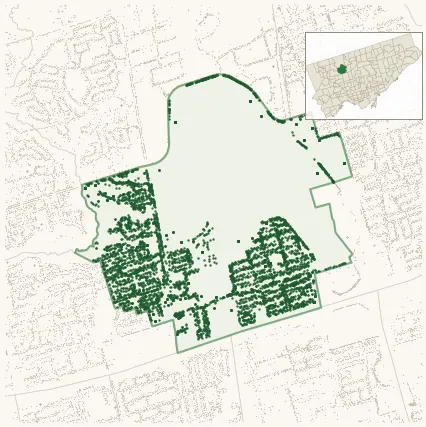 Map of Downsview showing the neighbourhood outlined in green with every city-owned street tree as a dark-green dot, plus a locator inset showing its position in Toronto.
