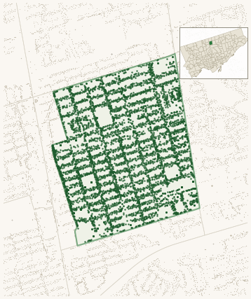 Map of East Willowdale showing the neighbourhood outlined in green with every city-owned street tree as a dark-green dot, plus a locator inset showing its position in Toronto.