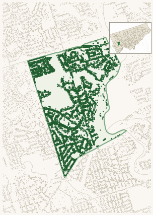 Map of Edenbridge-Humber Valley showing the neighbourhood outlined in green with every city-owned street tree as a dark-green dot, plus a locator inset showing its position in Toronto.