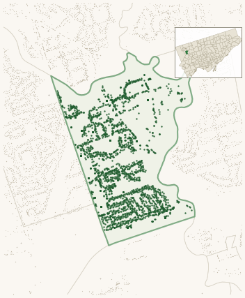 Map of Elms-Old Rexdale showing the neighbourhood outlined in green with every city-owned street tree as a dark-green dot, plus a locator inset showing its position in Toronto.