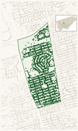 Map of Englemount-Lawrence showing the neighbourhood outlined in green with every city-owned street tree as a dark-green dot, plus a locator inset showing its position in Toronto.
