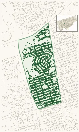 Map of Englemount-Lawrence showing the neighbourhood outlined in green with every city-owned street tree as a dark-green dot, plus a locator inset showing its position in Toronto.