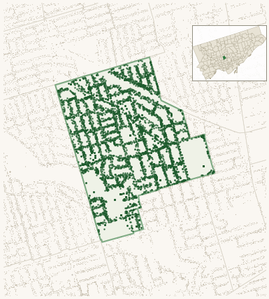 Map of Forest Hill South showing the neighbourhood outlined in green with every city-owned street tree as a dark-green dot, plus a locator inset showing its position in Toronto.