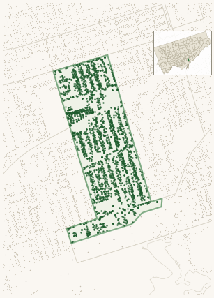 Map of Greenwood-Coxwell showing the neighbourhood outlined in green with every city-owned street tree as a dark-green dot, plus a locator inset showing its position in Toronto.