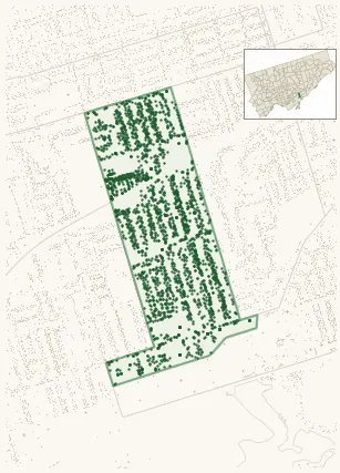 Map of Greenwood-Coxwell showing the neighbourhood outlined in green with every city-owned street tree as a dark-green dot, plus a locator inset showing its position in Toronto.