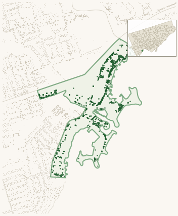 Map of Humber Bay Shores showing the neighbourhood outlined in green with every city-owned street tree as a dark-green dot, plus a locator inset showing its position in Toronto.