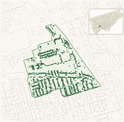 Map of Junction Area showing the neighbourhood outlined in green with every city-owned street tree as a dark-green dot, plus a locator inset showing its position in Toronto.