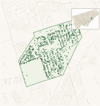Map of Kennedy Park showing the neighbourhood outlined in green with every city-owned street tree as a dark-green dot, plus a locator inset showing its position in Toronto.