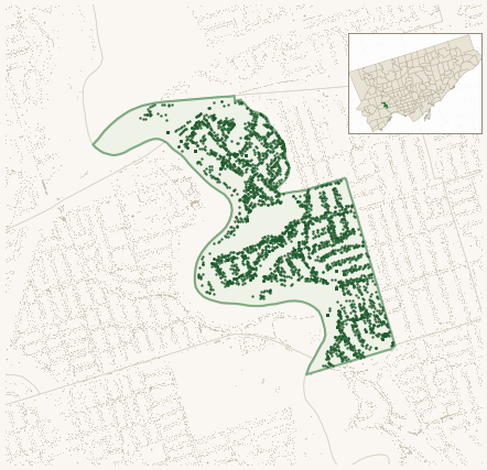 Map of Lambton Baby Point showing the neighbourhood outlined in green with every city-owned street tree as a dark-green dot, plus a locator inset showing its position in Toronto.