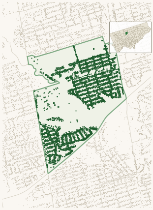 Map of Lansing-Westgate showing the neighbourhood outlined in green with every city-owned street tree as a dark-green dot, plus a locator inset showing its position in Toronto.