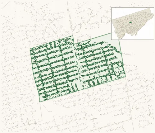Map of Lawrence Park North showing the neighbourhood outlined in green with every city-owned street tree as a dark-green dot, plus a locator inset showing its position in Toronto.
