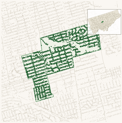 Map of Lawrence Park South showing the neighbourhood outlined in green with every city-owned street tree as a dark-green dot, plus a locator inset showing its position in Toronto.