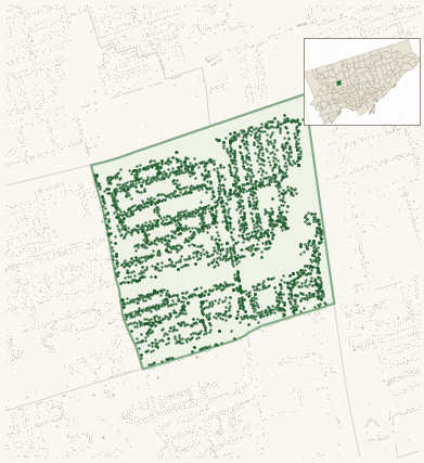 Map of Maple Leaf showing the neighbourhood outlined in green with every city-owned street tree as a dark-green dot, plus a locator inset showing its position in Toronto.