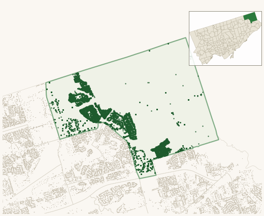 Map of Morningside Heights showing the neighbourhood outlined in green with every city-owned street tree as a dark-green dot, plus a locator inset showing its position in Toronto.