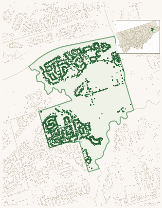 Map of Morningside showing the neighbourhood outlined in green with every city-owned street tree as a dark-green dot, plus a locator inset showing its position in Toronto.