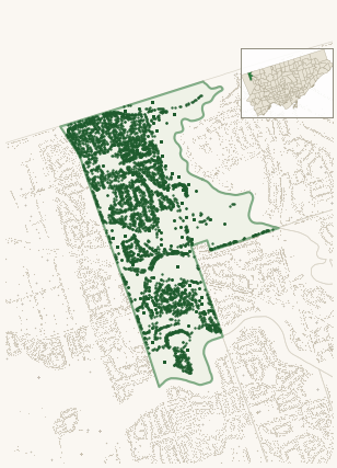 Map of Mount Olive-Silverstone-Jamestown showing the neighbourhood outlined in green with every city-owned street tree as a dark-green dot, plus a locator inset showing its position in Toronto.