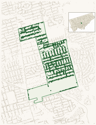 Map of Mount Pleasant East showing the neighbourhood outlined in green with every city-owned street tree as a dark-green dot, plus a locator inset showing its position in Toronto.