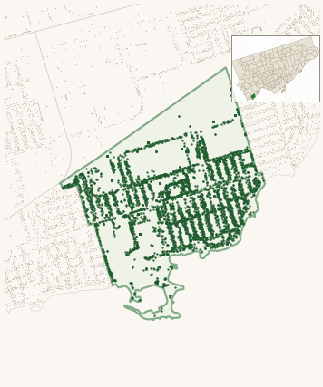 Map of New Toronto showing the neighbourhood outlined in green with every city-owned street tree as a dark-green dot, plus a locator inset showing its position in Toronto.
