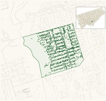 Map of North Riverdale showing the neighbourhood outlined in green with every city-owned street tree as a dark-green dot, plus a locator inset showing its position in Toronto.