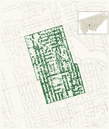 Map of Oakwood Village showing the neighbourhood outlined in green with every city-owned street tree as a dark-green dot, plus a locator inset showing its position in Toronto.
