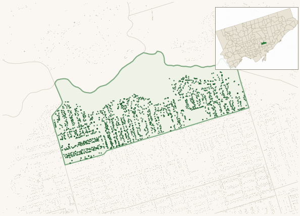 Map of Old East York showing the neighbourhood outlined in green with every city-owned street tree as a dark-green dot, plus a locator inset showing its position in Toronto.