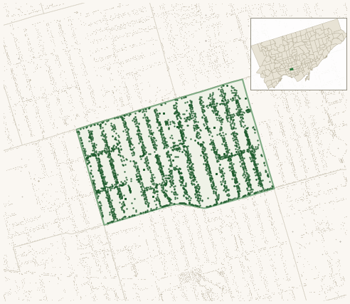 Map of Palmerston-Little Italy showing the neighbourhood outlined in green with every city-owned street tree as a dark-green dot, plus a locator inset showing its position in Toronto.