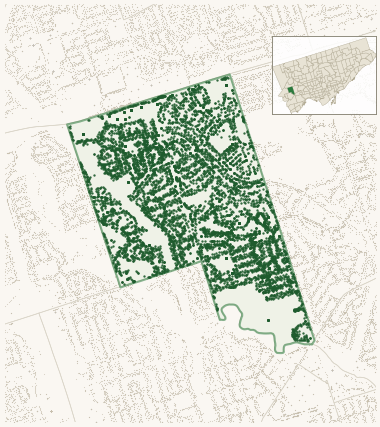 Map of Princess-Rosethorn showing the neighbourhood outlined in green with every city-owned street tree as a dark-green dot, plus a locator inset showing its position in Toronto.