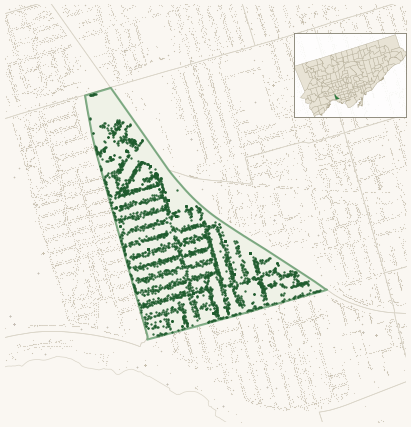 Map of Roncesvalles showing the neighbourhood outlined in green with every city-owned street tree as a dark-green dot, plus a locator inset showing its position in Toronto.