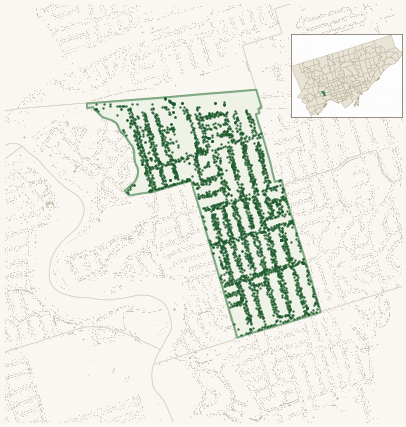 Map of Runnymede-Bloor West Village showing the neighbourhood outlined in green with every city-owned street tree as a dark-green dot, plus a locator inset showing its position in Toronto.
