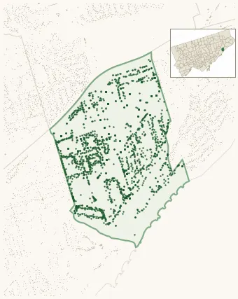 Map of Scarborough Village showing the neighbourhood outlined in green with every city-owned street tree as a dark-green dot, plus a locator inset showing its position in Toronto.