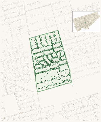 Map of South Eglinton-Davisville showing the neighbourhood outlined in green with every city-owned street tree as a dark-green dot, plus a locator inset showing its position in Toronto.