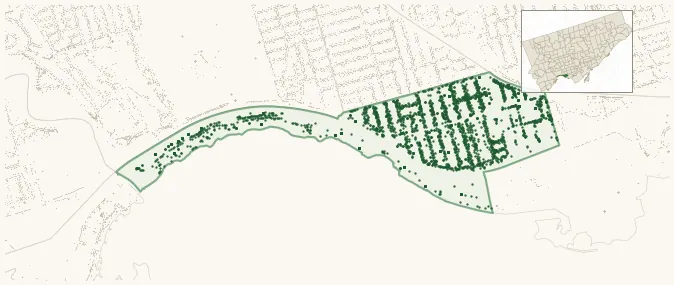Map of South Parkdale showing the neighbourhood outlined in green with every city-owned street tree as a dark-green dot, plus a locator inset showing its position in Toronto.