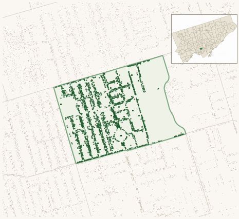 Map of University showing the neighbourhood outlined in green with every city-owned street tree as a dark-green dot, plus a locator inset showing its position in Toronto.