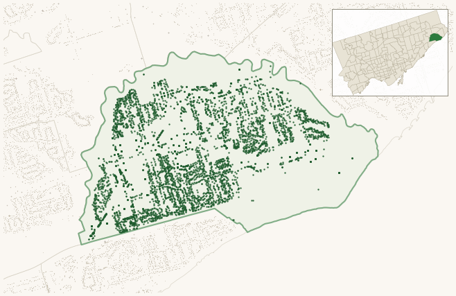Map of West Hill showing the neighbourhood outlined in green with every city-owned street tree as a dark-green dot, plus a locator inset showing its position in Toronto.