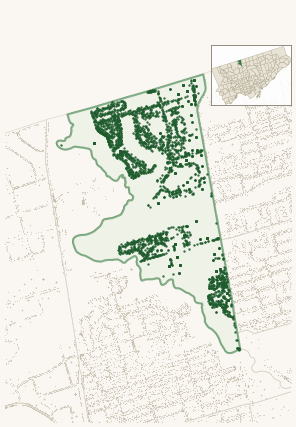Map of Westminster-Branson showing the neighbourhood outlined in green with every city-owned street tree as a dark-green dot, plus a locator inset showing its position in Toronto.